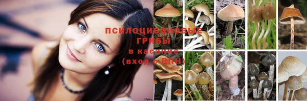 меф VHQ Алзамай