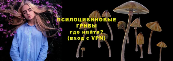 прущий лед Алексин