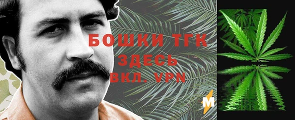 прущий лед Алексин
