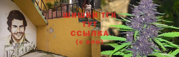 прущий лед Алексин