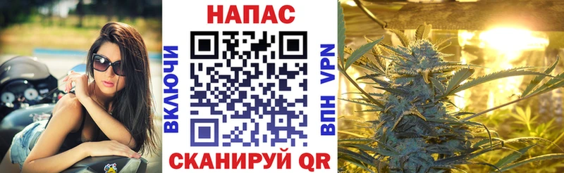 МАРИХУАНА семена  Купить где  Велиж 